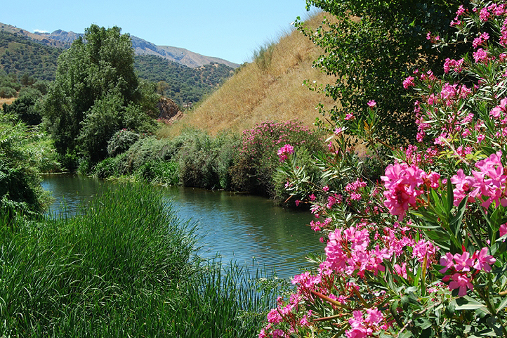 Guadiaro river in the Ronda Mountains